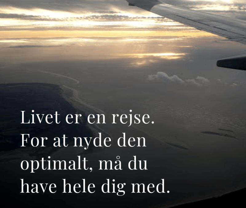 Livet Er En Rejse Anne Præstegaard 8171